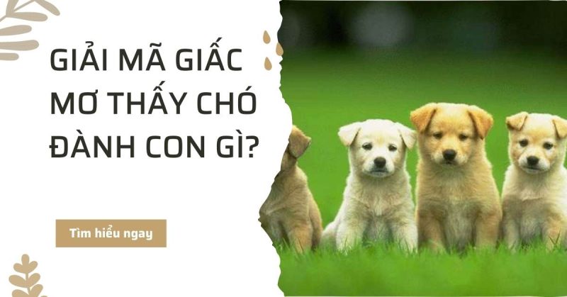 Mơ thấy chó đánh con gì